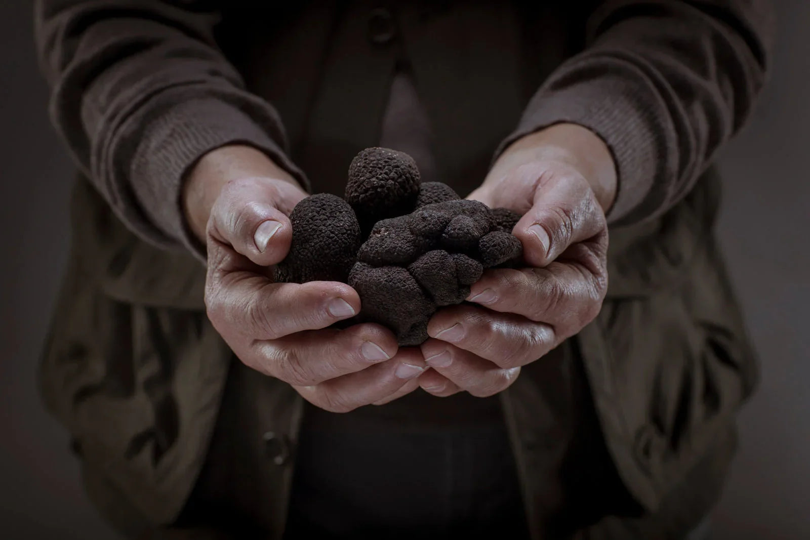 Why Real Italian Truffles Cost More (And Why They're Worth Every Penny)