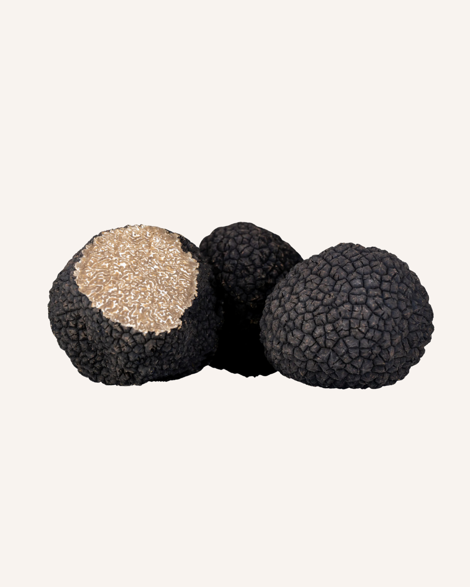 Fresh Italian Black Uncinatum Truffle (Tuber uncinatum Chatin)