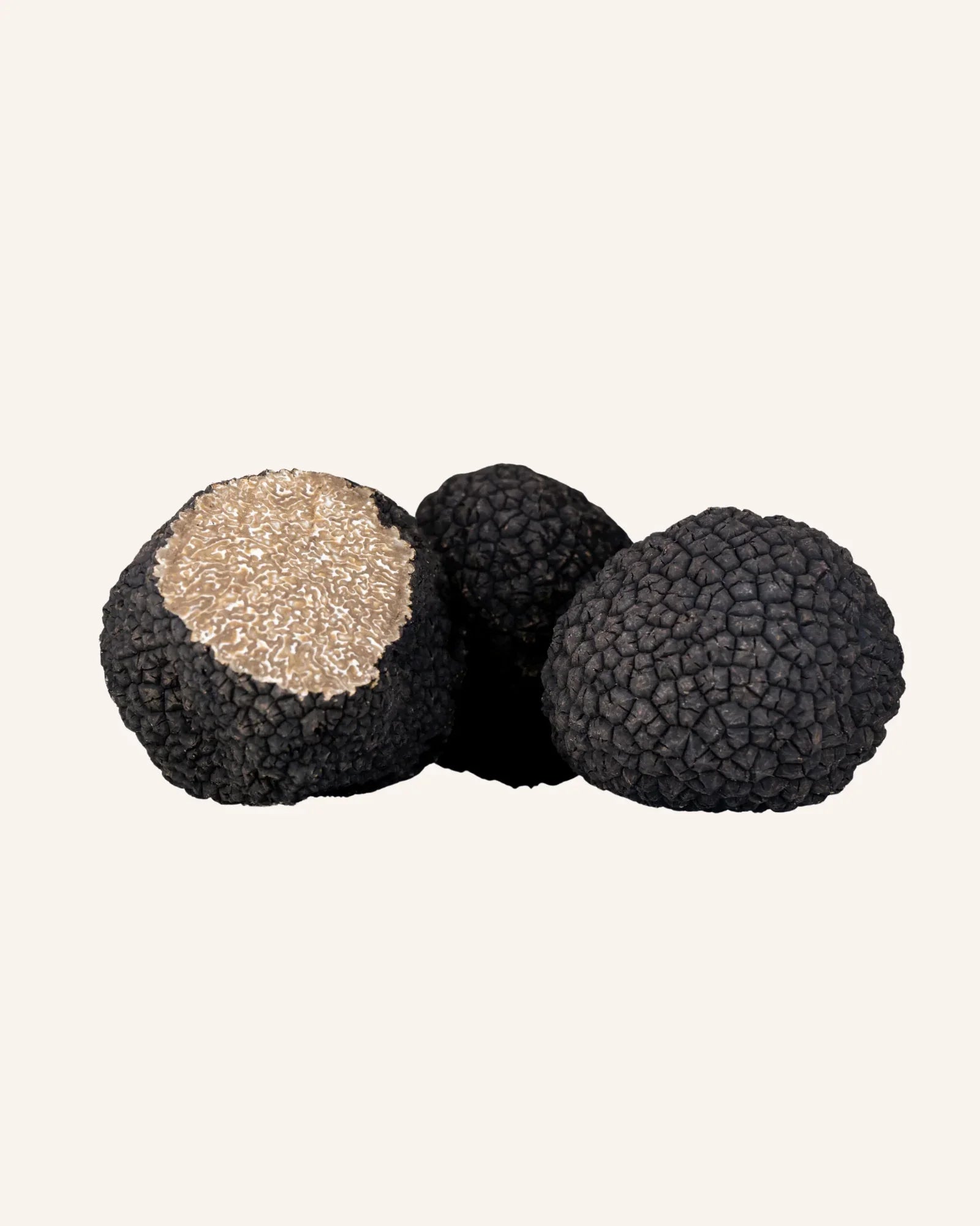 Fresh Italian Black Uncinatum Truffle (Tuber uncinatum Chatin)
