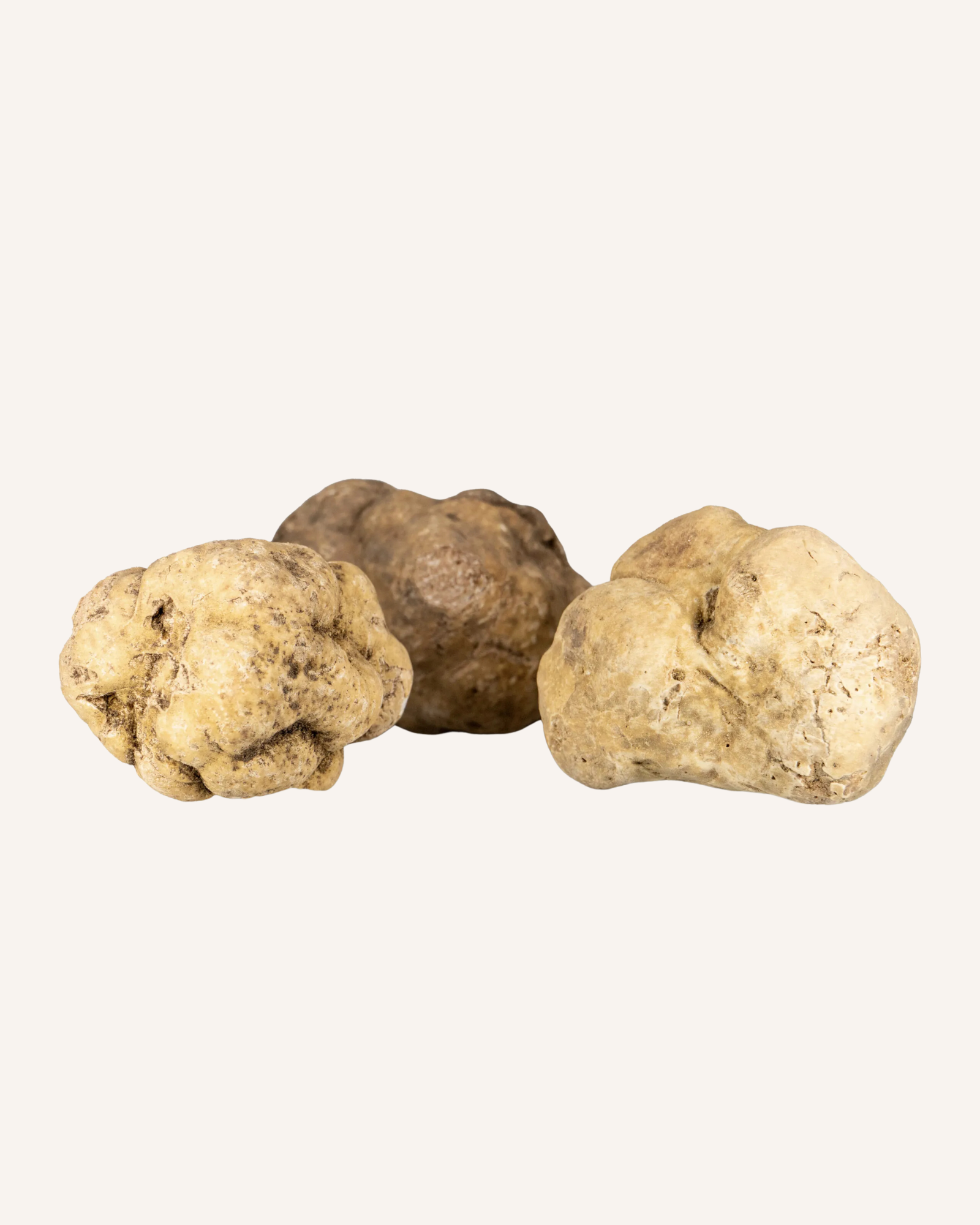 Fresh Italian White Truffle (Tuber magnatum Pico)